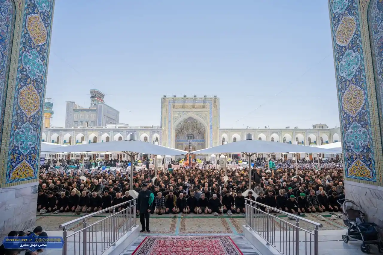 آداب زیارت امام رضا