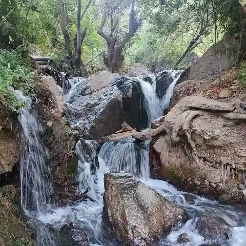 کلات نادری