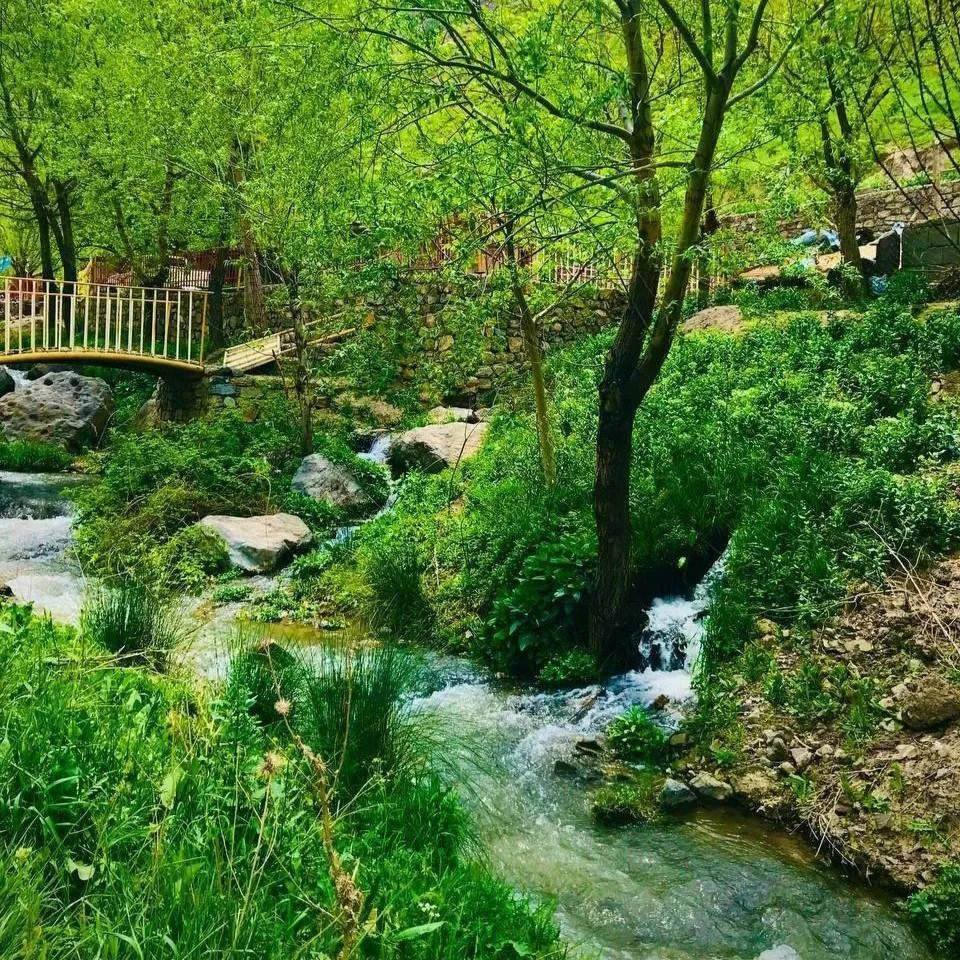 طبیعت بکر ارتکند مشهد