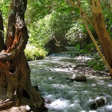 بومگردی بابا رمضان مشهد
