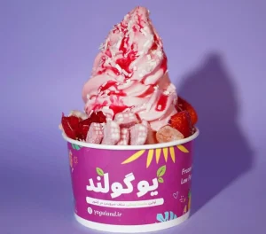 ماست بستنی رژیمی در مشهد مقدس