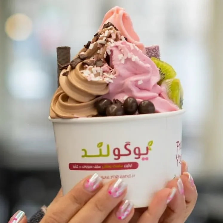 ماست بستنی یوگولند مشهد