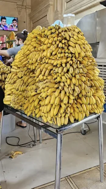 بستنی قیفی مشهد
