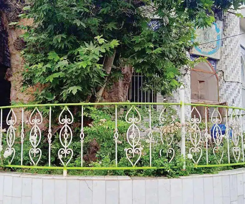 درخت چنار کهنسال شاندیز
