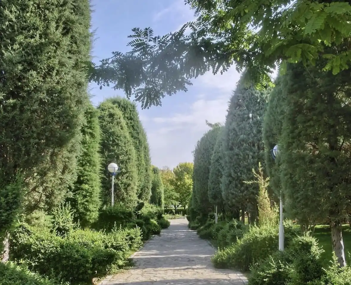 اطلاعات در مورد کوهسنگی مشهد