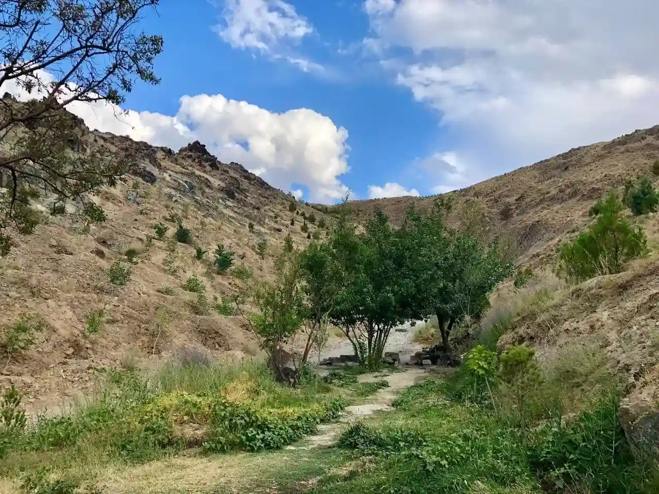کوه پارک مشهد دلاوران