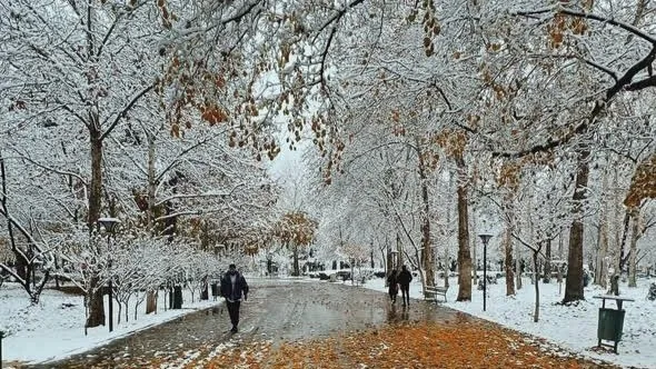 پاییز پارک ملت مشهد