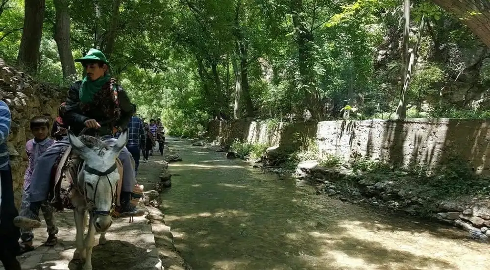 قیمت خانه در روستای اخلمد مشهد