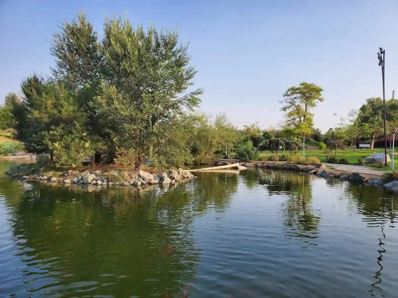 باغ میوه های بومی ایران