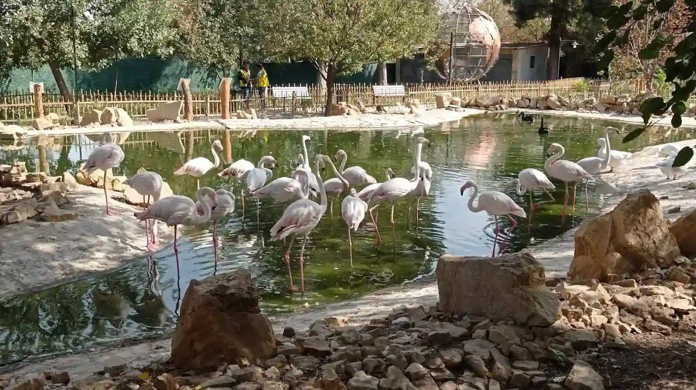 باغ پرندگان باغ مشهد