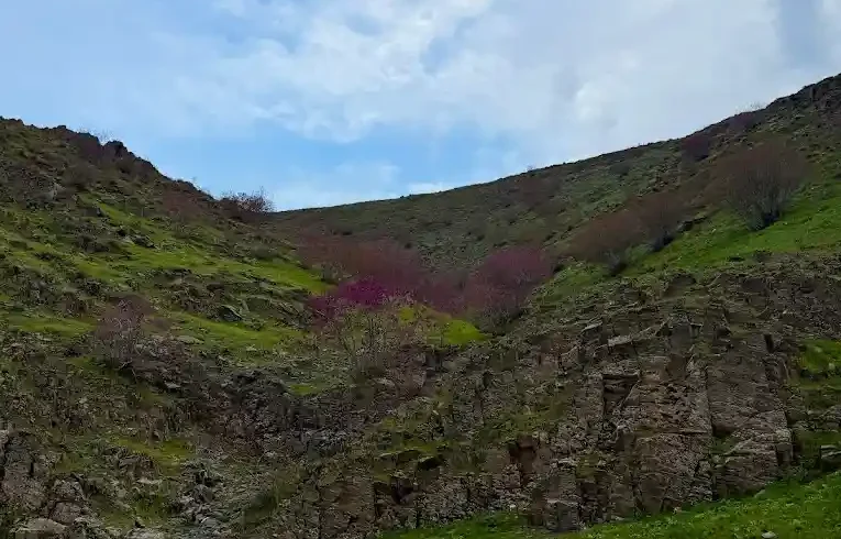 فاصله مشهد تا دره ارغوان