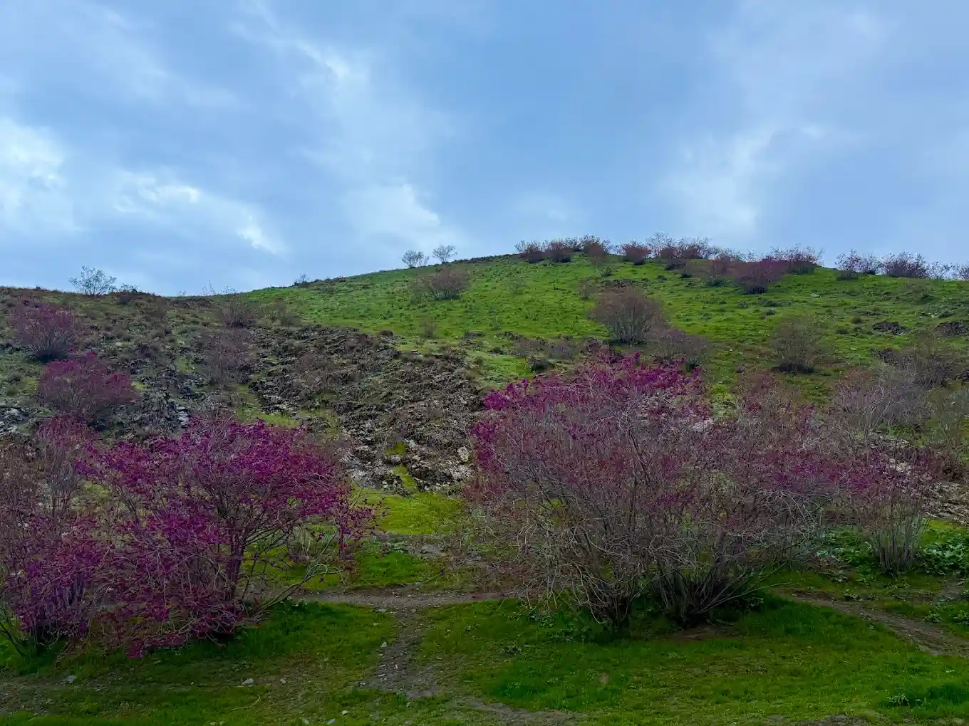 دره ارغوان مشهد اردیبهشت