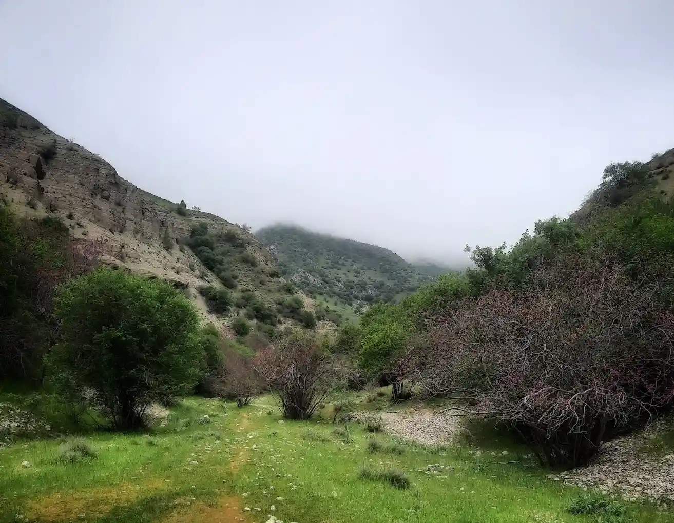 دره ارغوان طرقبه مشهد تابستان
