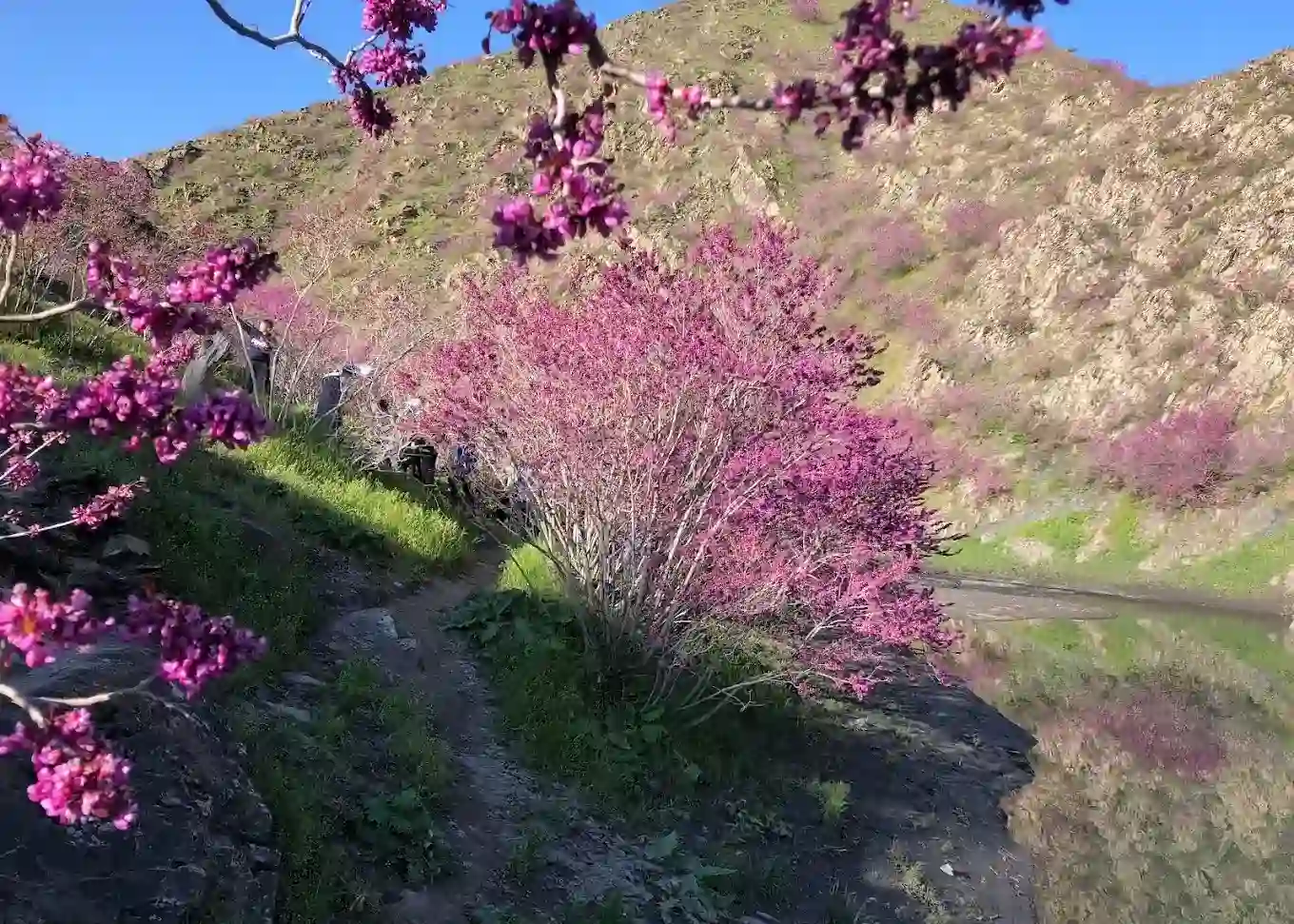 فاصله دره ارغوان تا حرم امام رضا
