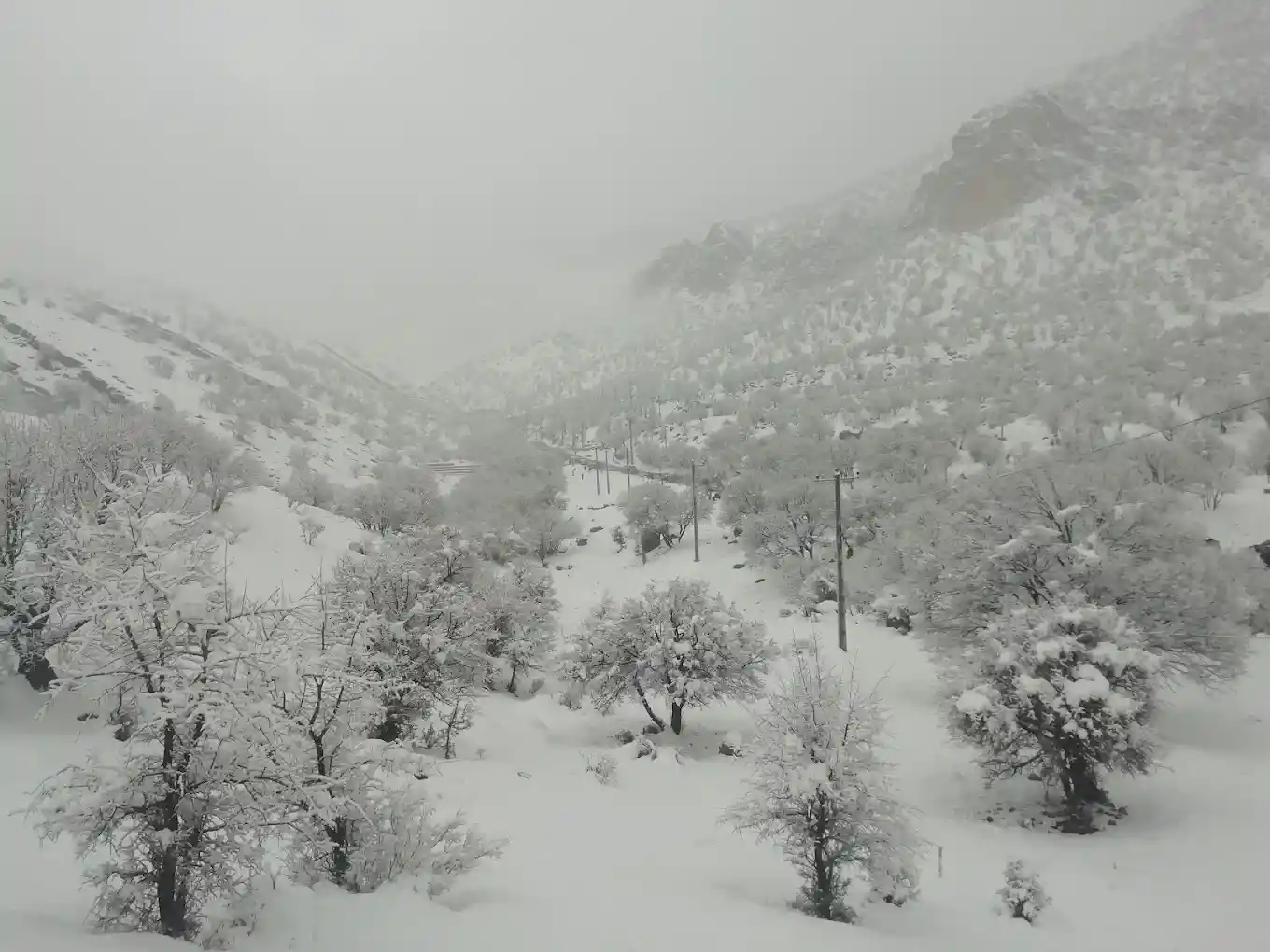دره ارغوان طرقبه مشهد در زمستان