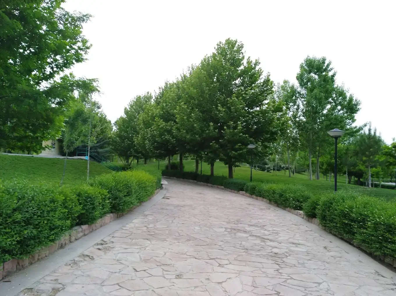 دوچرخه سواری در پارک سنجاقک گلبهار