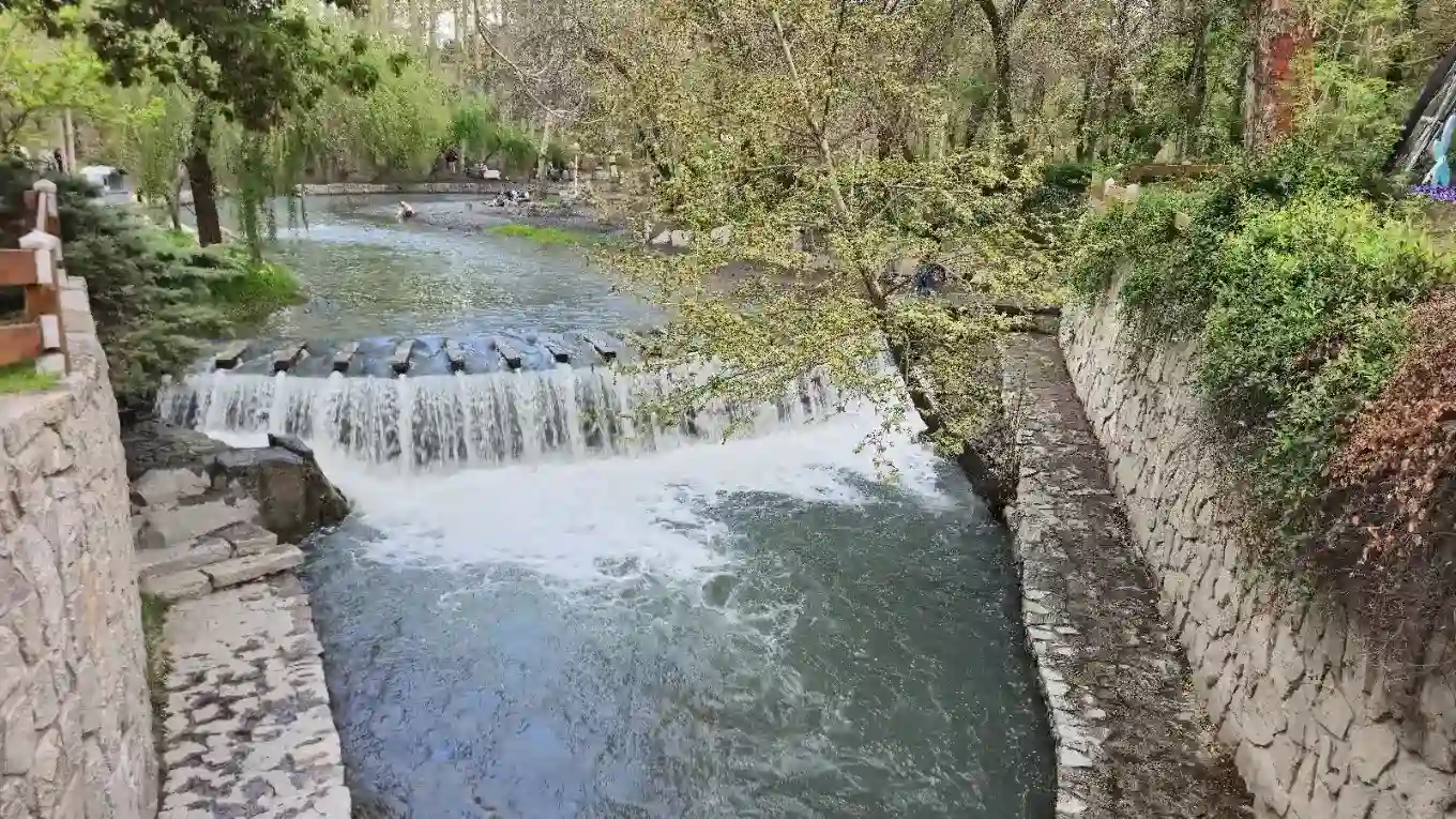 پوشش گیاهی پارک وکیل آباد مشهد