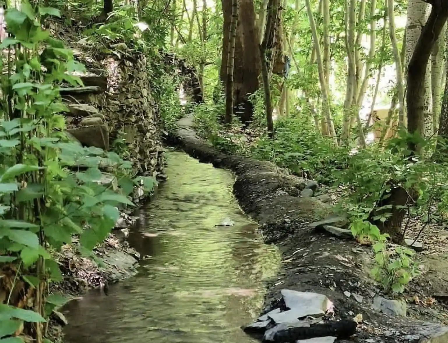 جمعیت و مردم روستای کلاته آهن