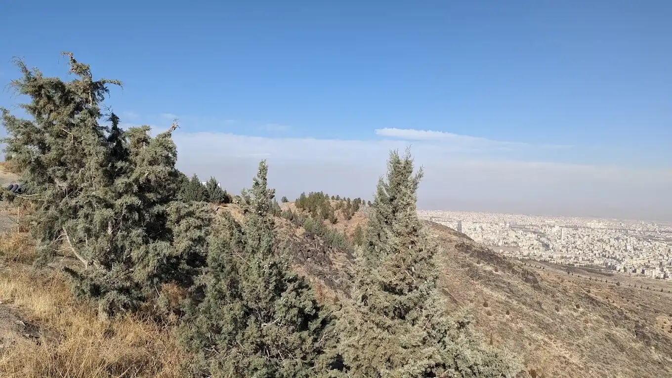 بام صیاد شیرازی مشهد کجاست