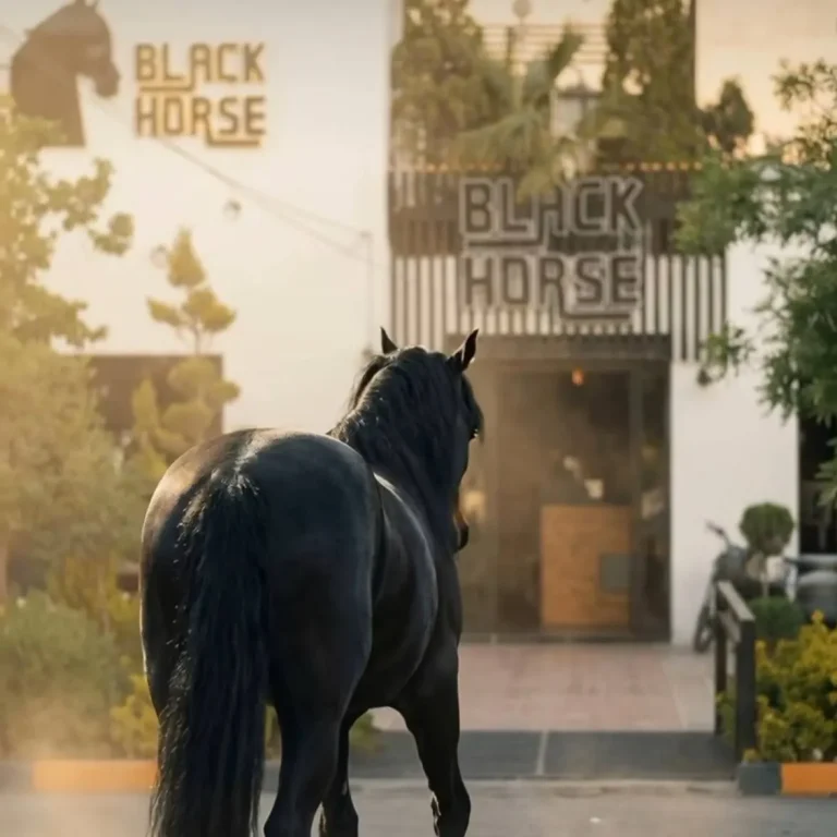 کافه رستوران بلک هورس مشهد